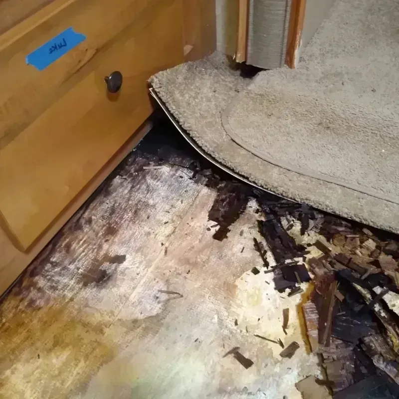 Best Wood Floor Water Damage Service in Cantonment, FL